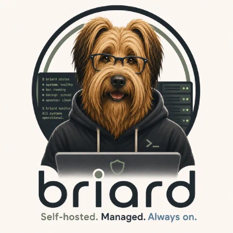 Briard — a briard dog at a laptop showing a healthy system status